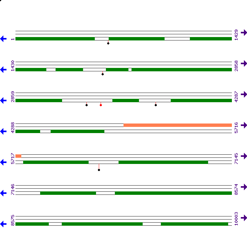 Genome View