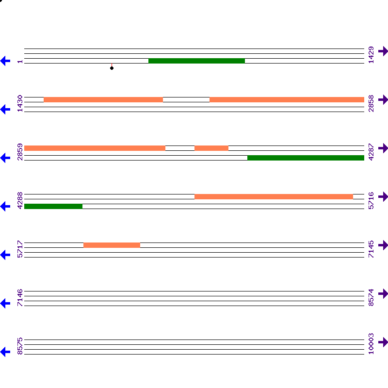 Genome View