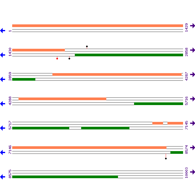 Genome View
