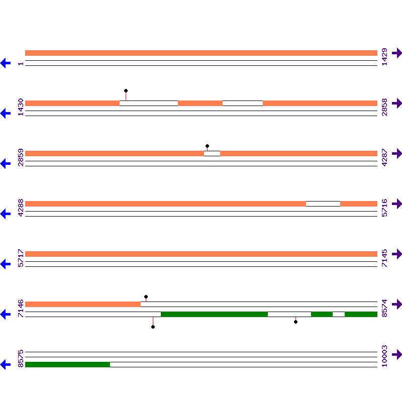 Genome View