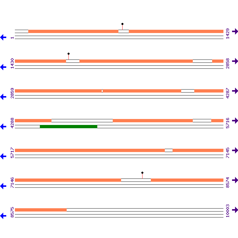 Genome View