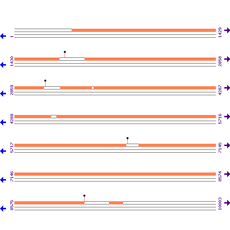 Genome View