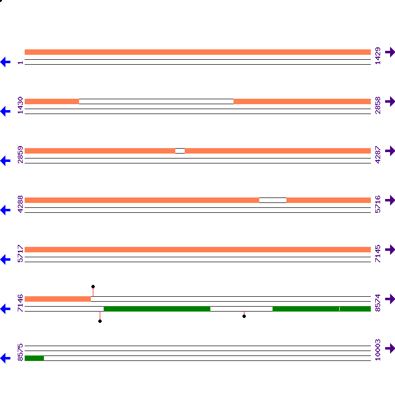 Genome View