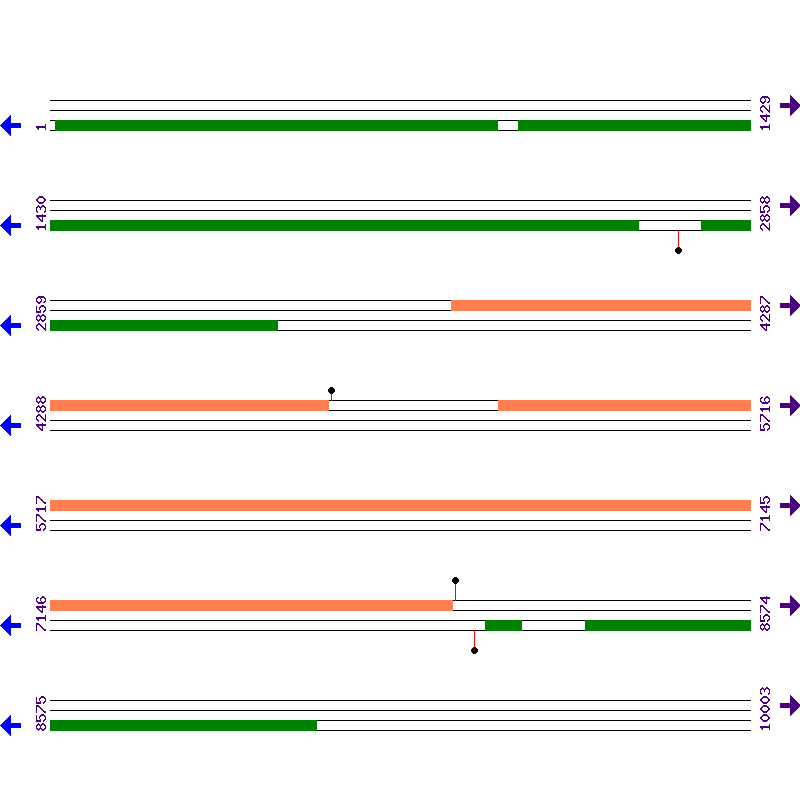 Genome View