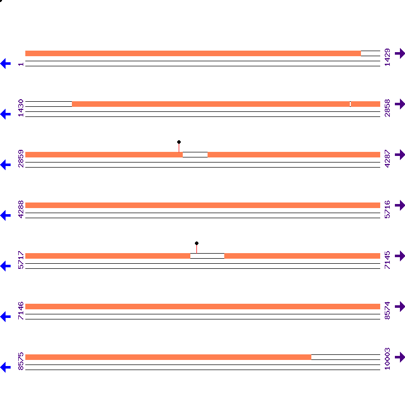 Genome View