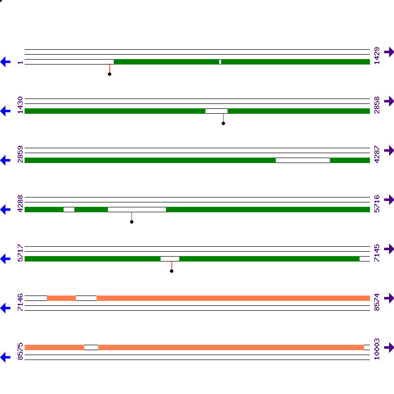 Genome View