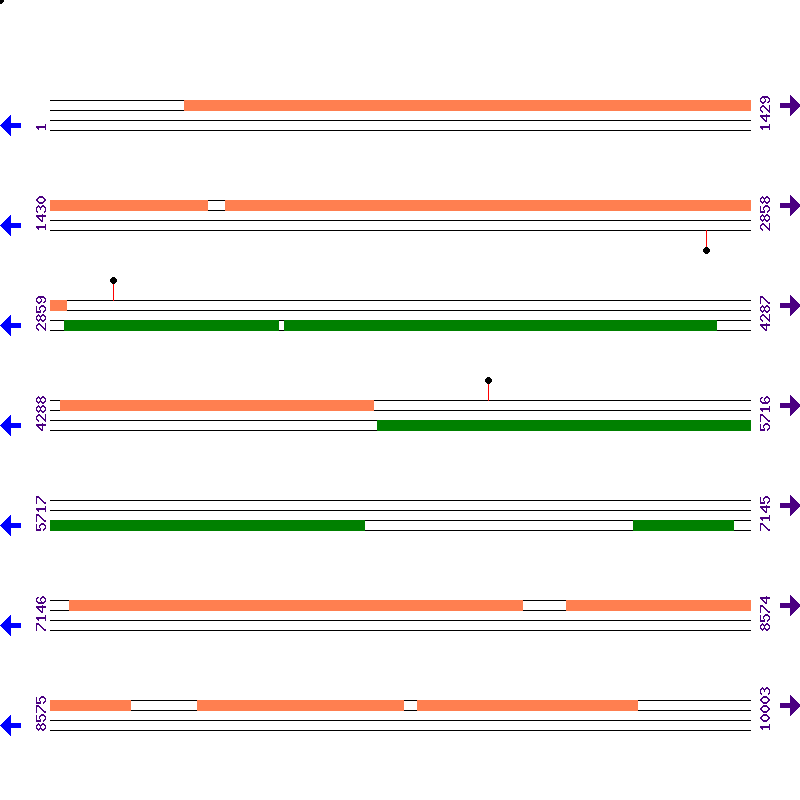 Genome View