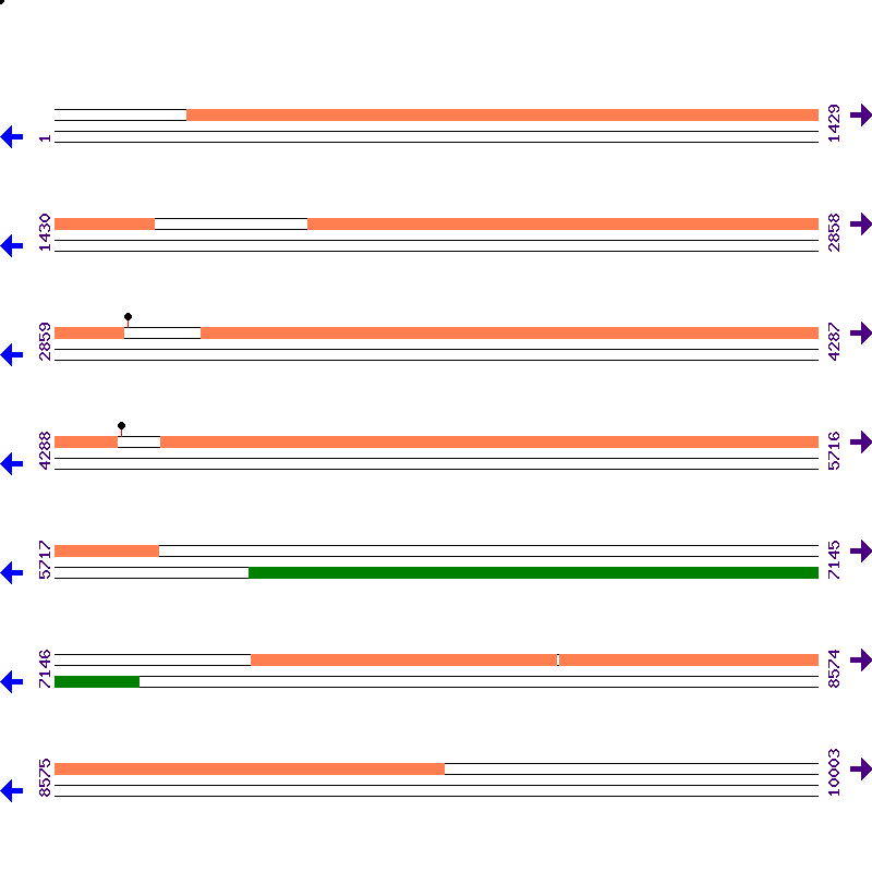 Genome View