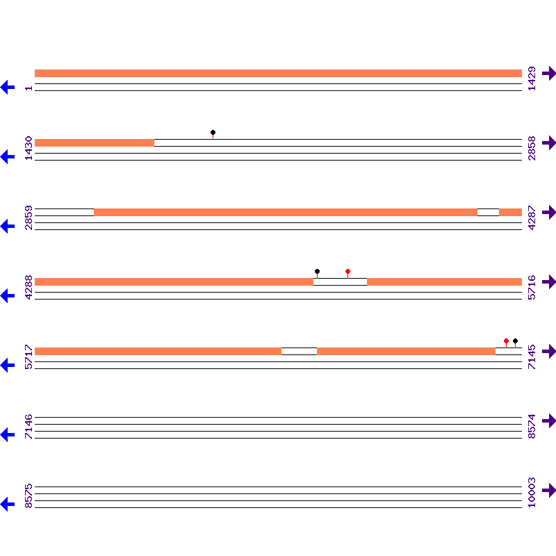 Genome View