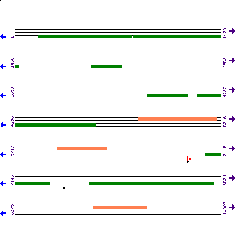 Genome View