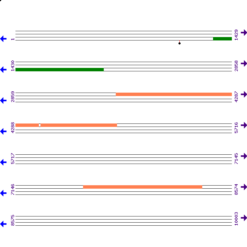 Genome View