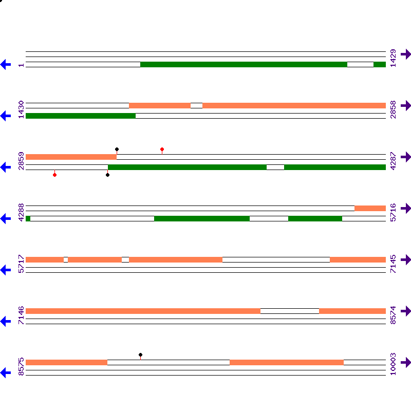 Genome View