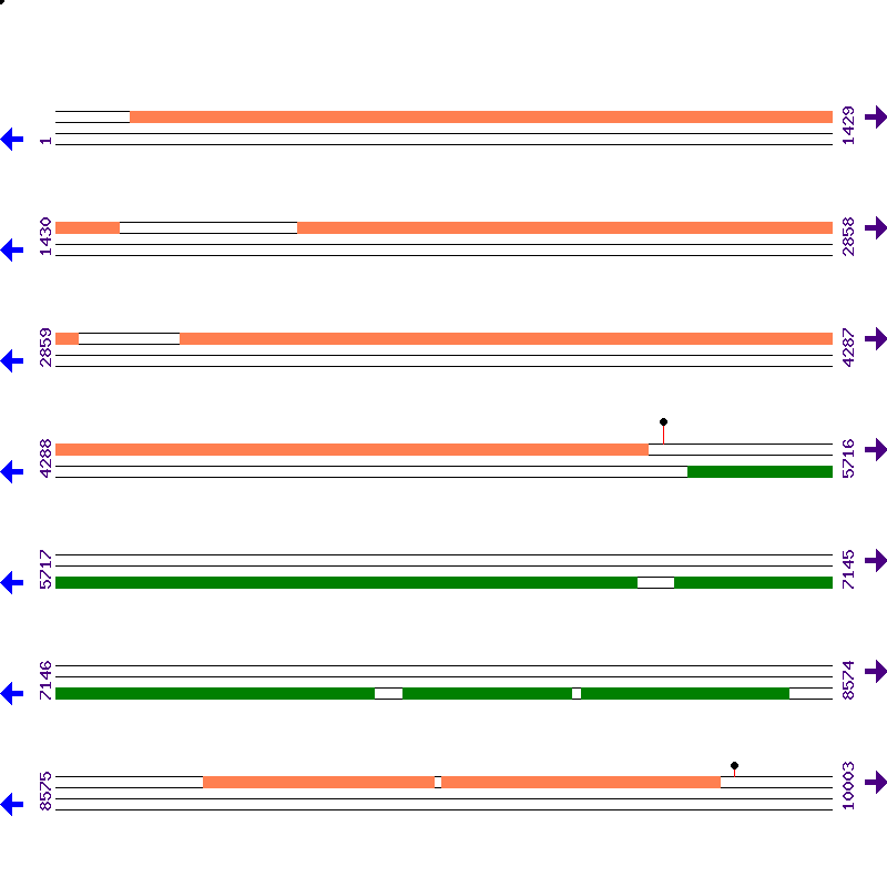 Genome View