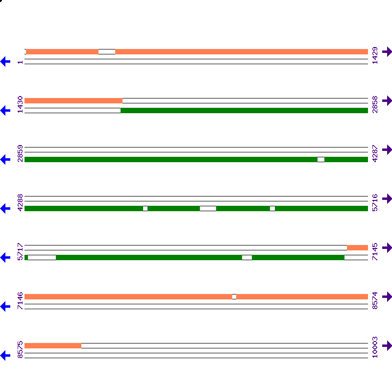 Genome View