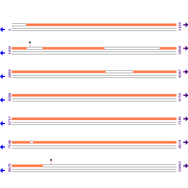 Genome View