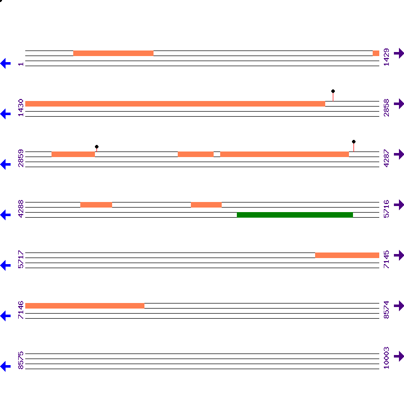 Genome View