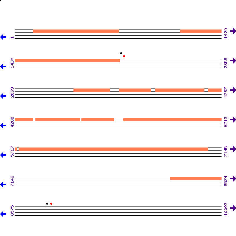 Genome View