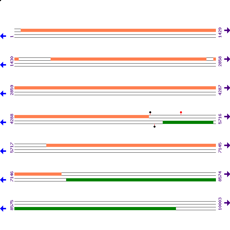 Genome View