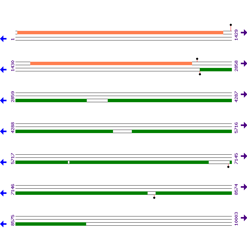 Genome View