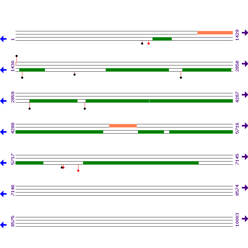 Genome View