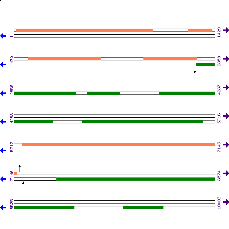 Genome View