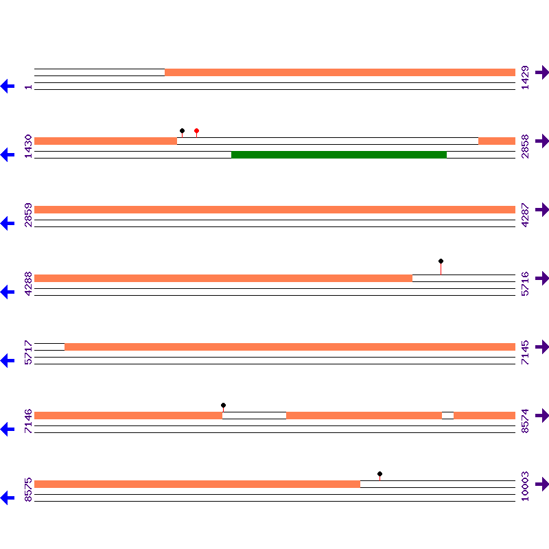 Genome View