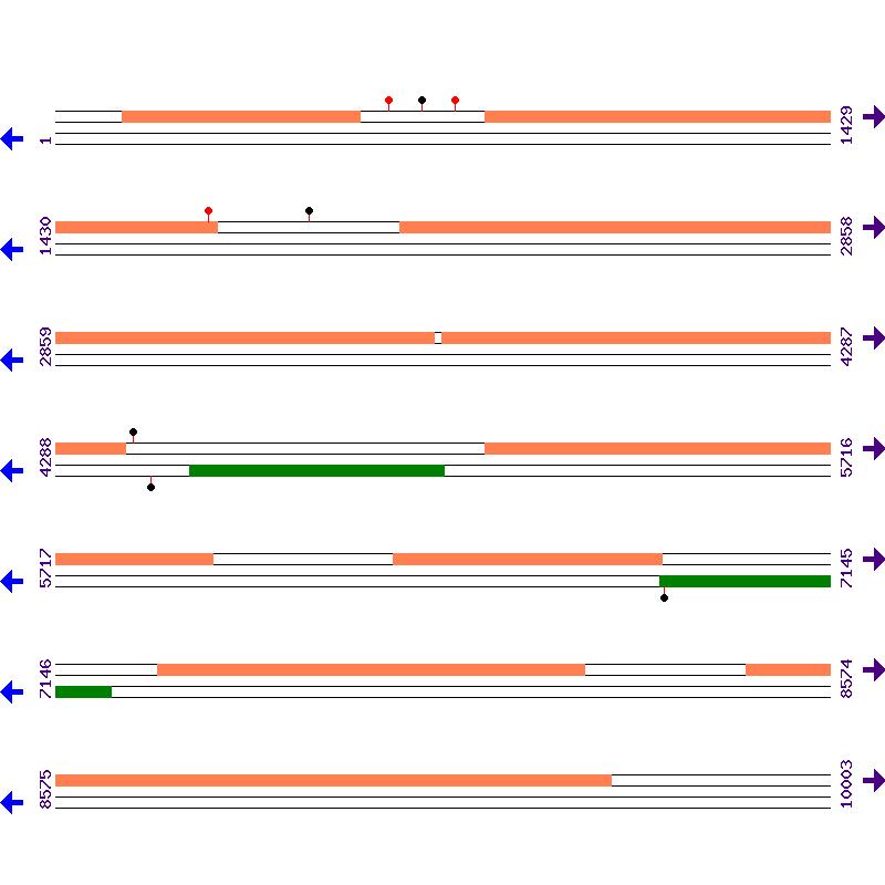 Genome View