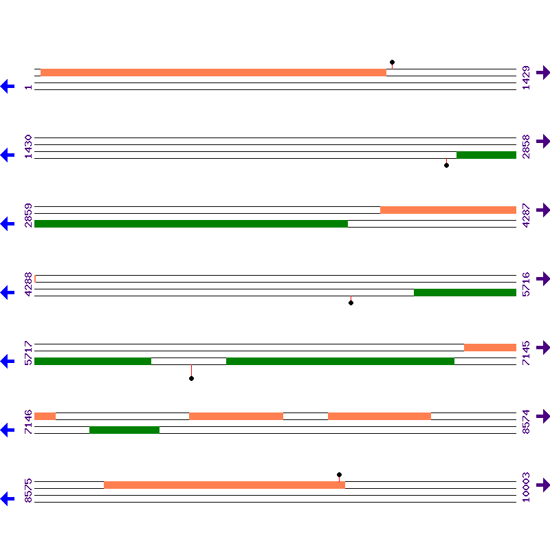 Genome View