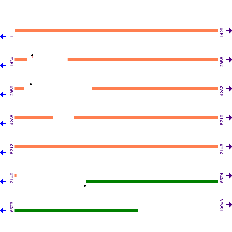 Genome View