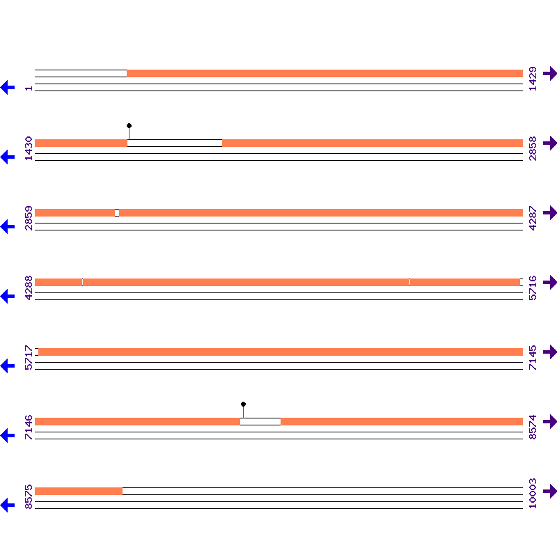 Genome View