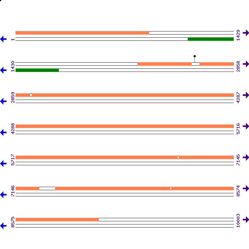 Genome View