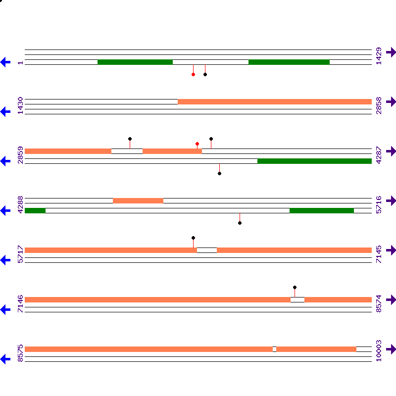 Genome View