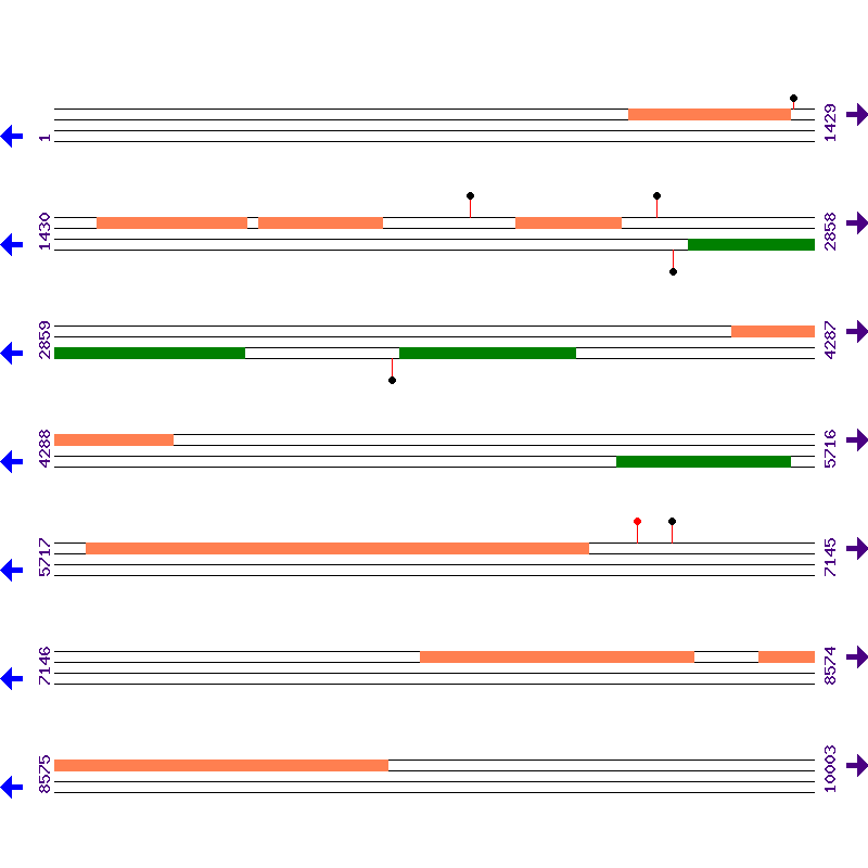 Genome View