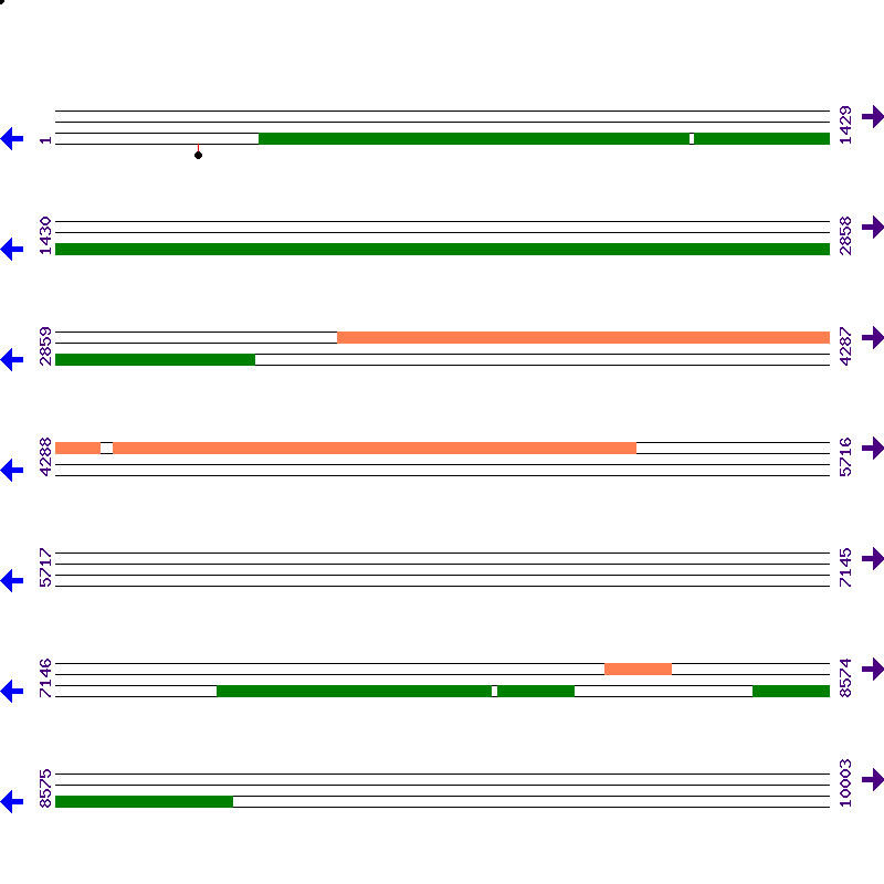 Genome View