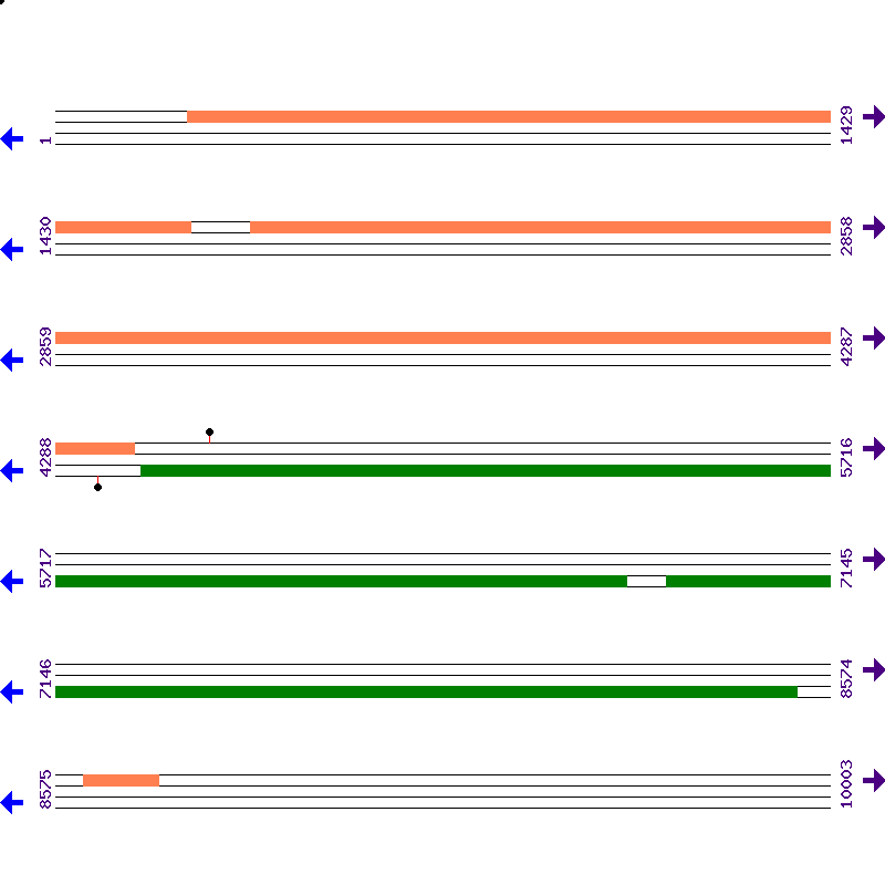 Genome View