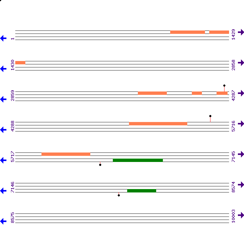 Genome View