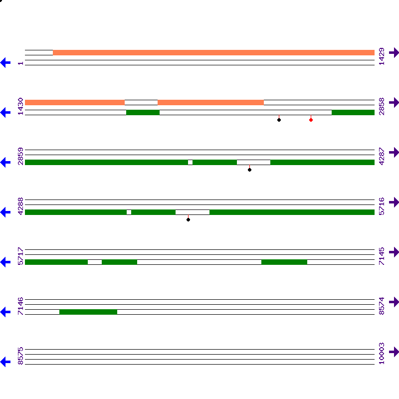 Genome View