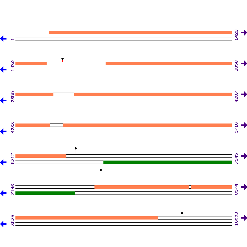 Genome View