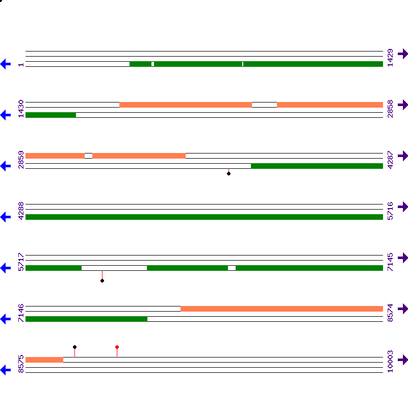 Genome View