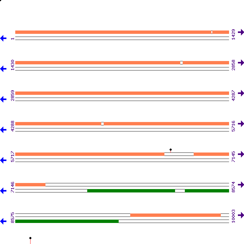 Genome View
