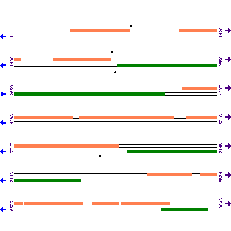 Genome View