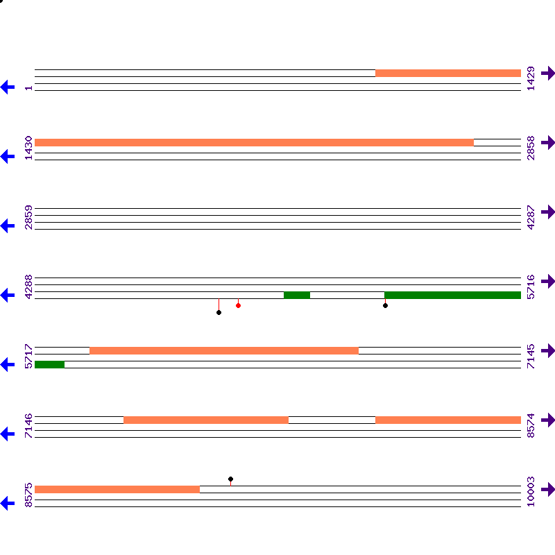 Genome View