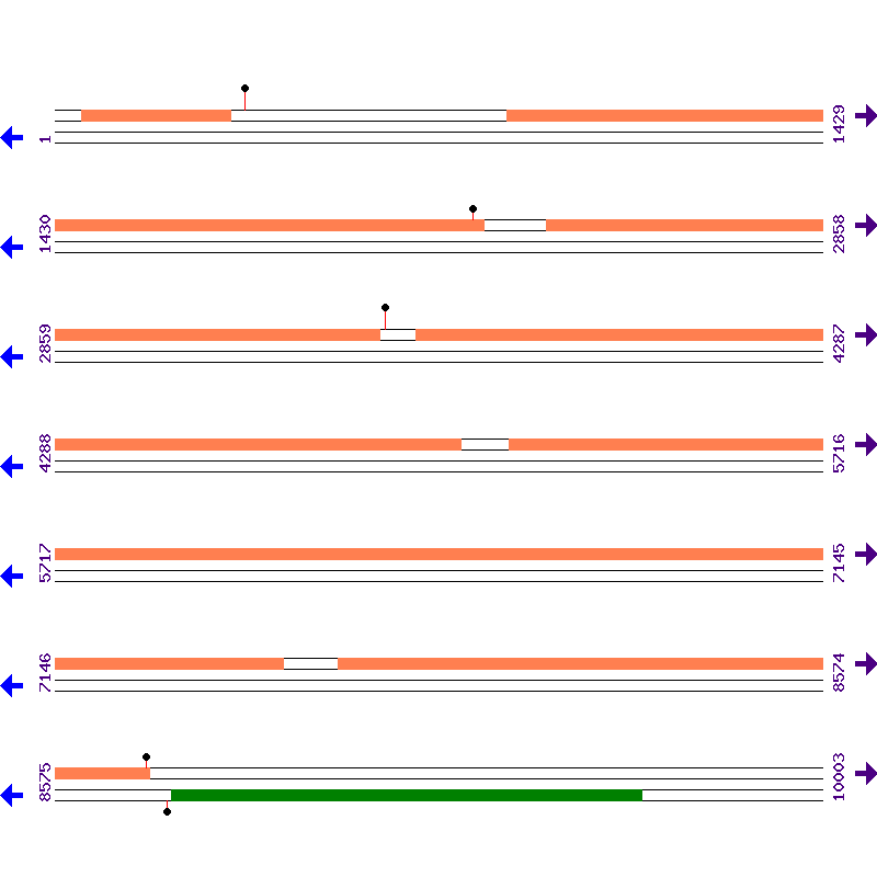 Genome View