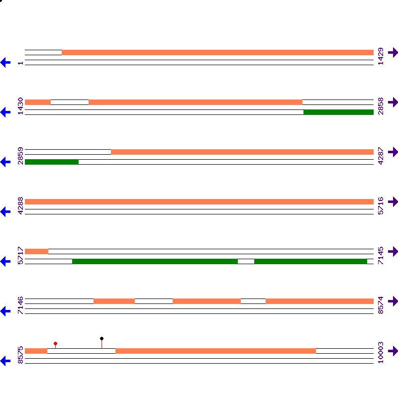Genome View