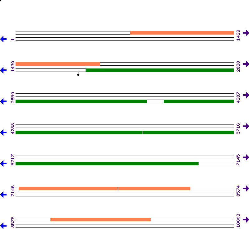 Genome View