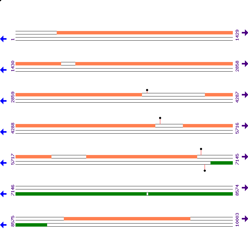 Genome View