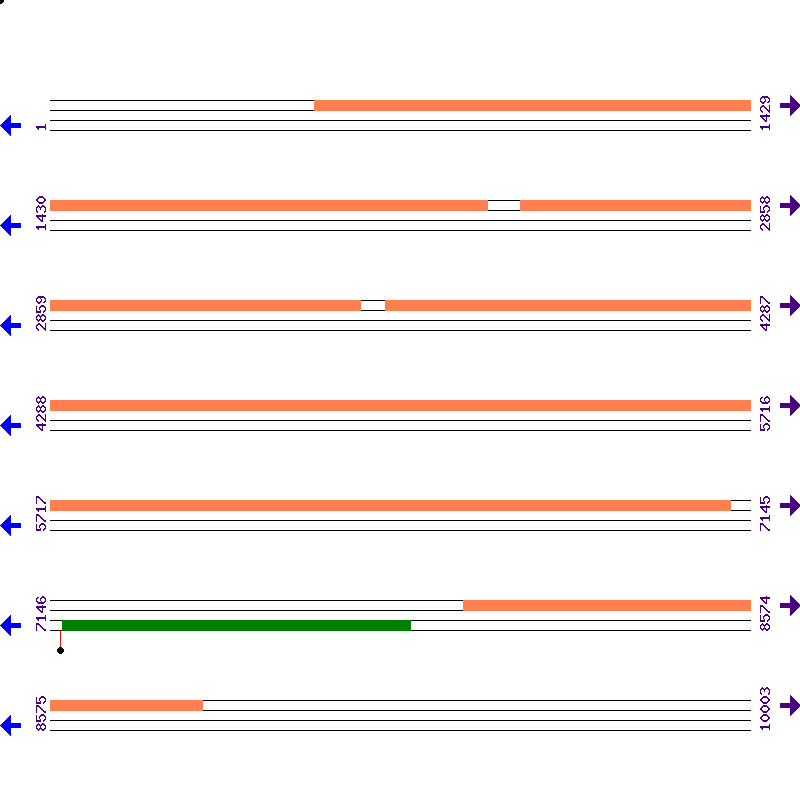 Genome View