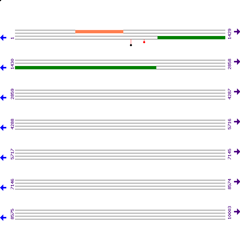 Genome View