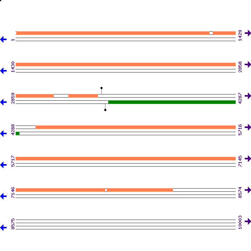 Genome View