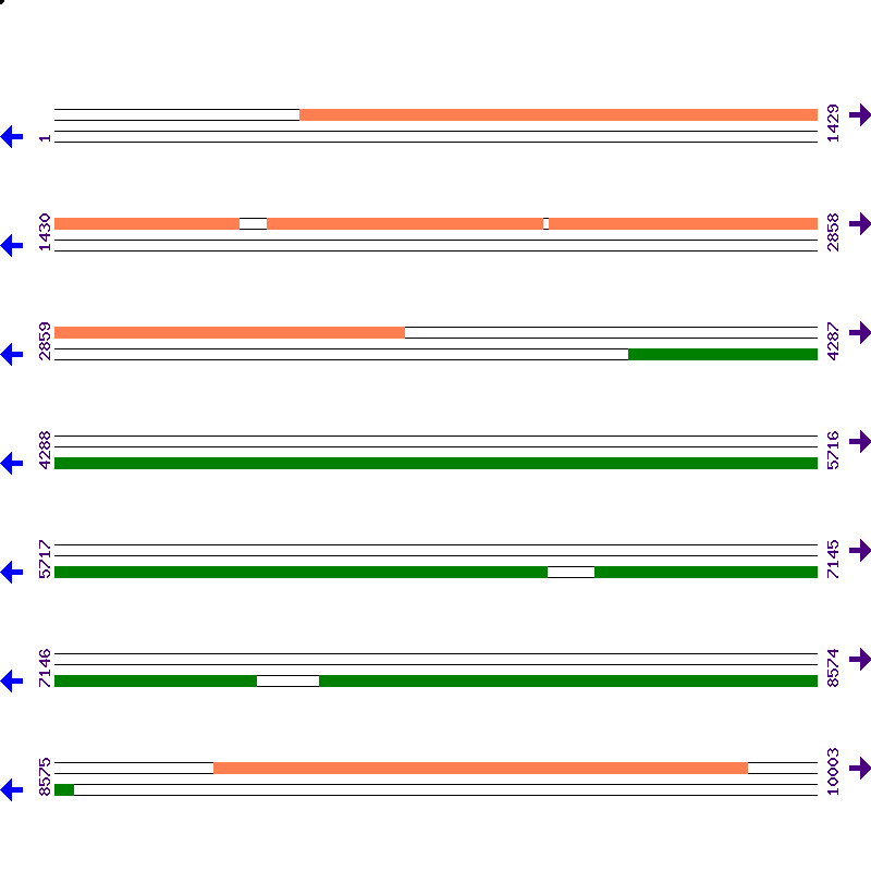 Genome View